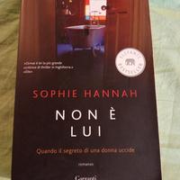 Sophie Hannah, Non è lui