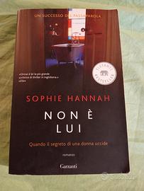 Sophie Hannah, Non è lui