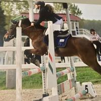 Super pony da salto classe B