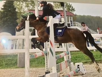 Super pony da salto classe B