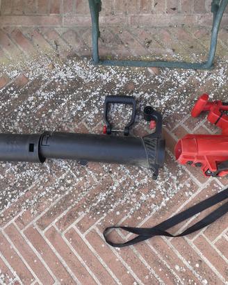 Aspirafoglie Einhell GC-EL 3000 E