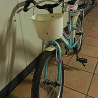 bicicletta