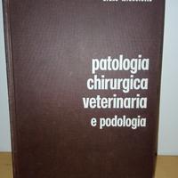 Libro universitario "Patologia..." di Micheletto