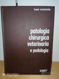Libro universitario "Patologia..." di Micheletto