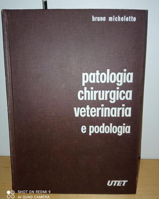 Libro universitario "Patologia..." di Micheletto