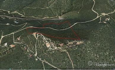 Terreno agricolo panoramico