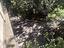 Immagine 24