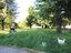 Immagine 27