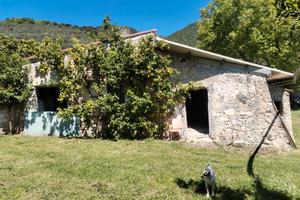 Rustico con terreno agricolo +Rudere