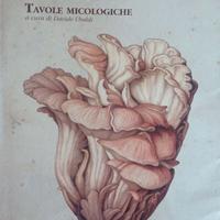 TAVOLE MICOLOGICHE di Vincenzo Ottaviani