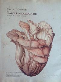 TAVOLE MICOLOGICHE di Vincenzo Ottaviani