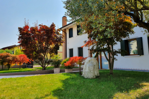 Appartamento treviso da condividere