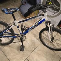 Bicicletta bambino 5-10 anni