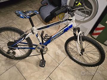 Bicicletta bambino 5-10 anni