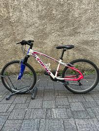Bicicletta mountain bike