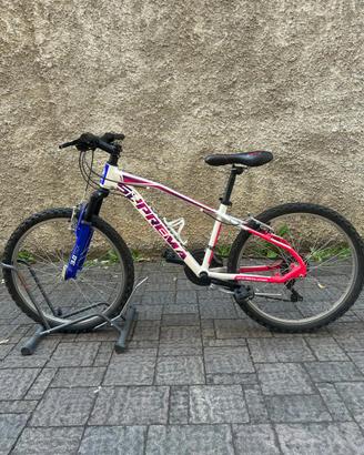 Bicicletta mountain bike