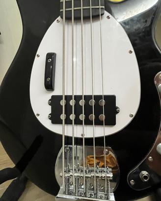 Basso Eko 5 corde in garanzia