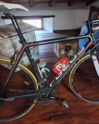 bici da corsa Focus Cayo