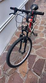 bicicletta Mtb 