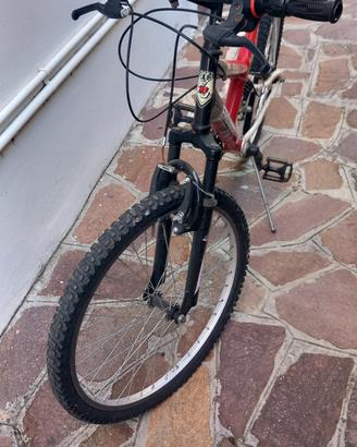 bicicletta Mtb 