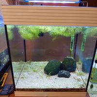 acquario cubo