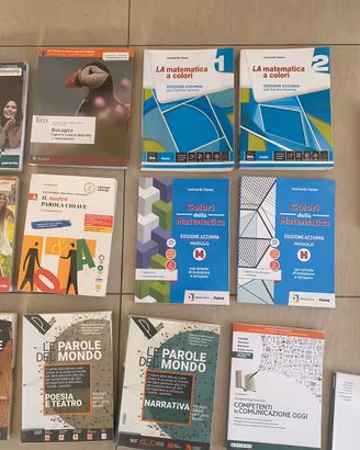 testi scolastici studente liceo artistico sello ud
