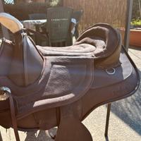 Sella barefoot arizona