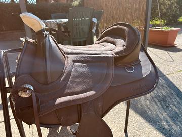 Sella barefoot arizona