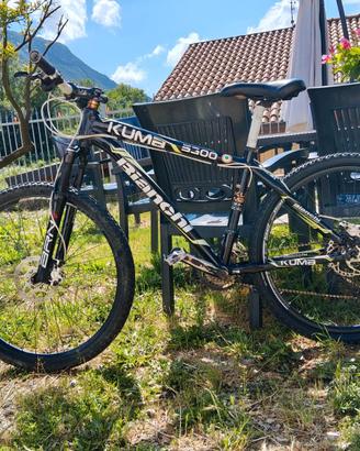 bicicletta bianchi