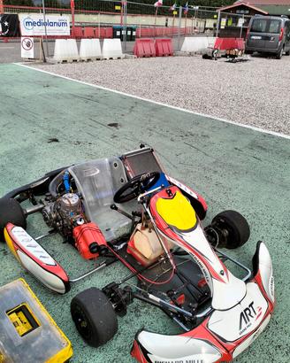 kart kz 125 birel