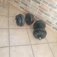 Coppia manubri da 10 kg