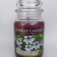 Yankee Candle Madagascan Orchid