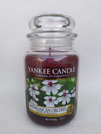 Yankee Candle Madagascan Orchid