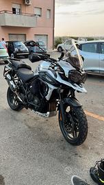 Triumph Tiger alpine edition 1200