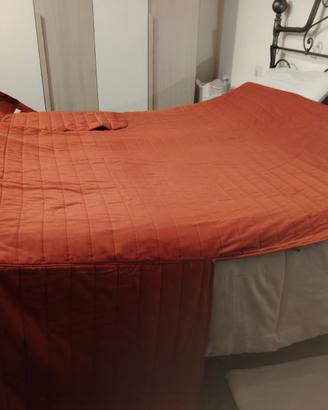 SALVADIVANO ROSSO CON PENISOLA