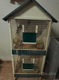 gabbia pappagalli 
