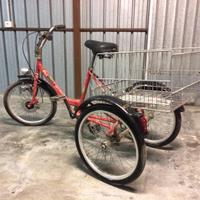 Bici a tre ruote