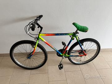Bicicletta