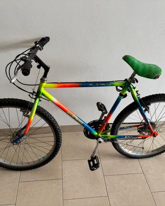 Bicicletta
