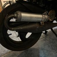 Malossi MHR For Race Only - Curva Bassa Piaggio