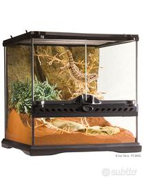 Terrario Exo Terra Glass Terrarium 30x30x30