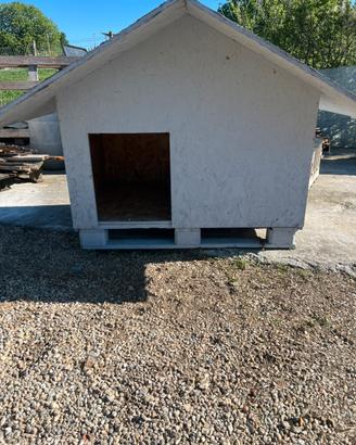 Cuccia per cane