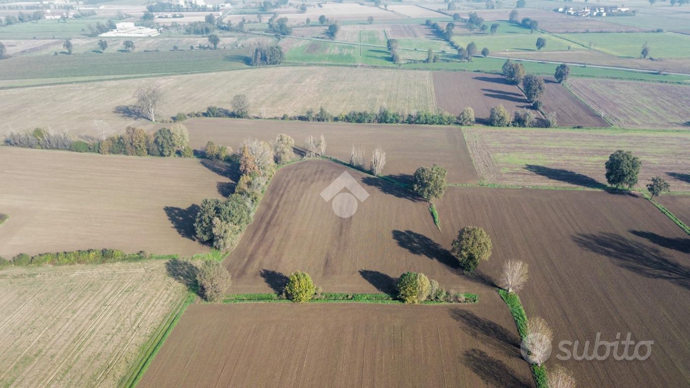 TERRENO A SAN DANIELE PO - Vista 5