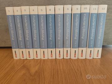 Manga Proteggi la mia terra