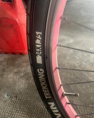 Bicicletta bimba