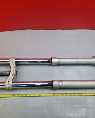 STELI FORCELLA TM MX 250 1997 1998