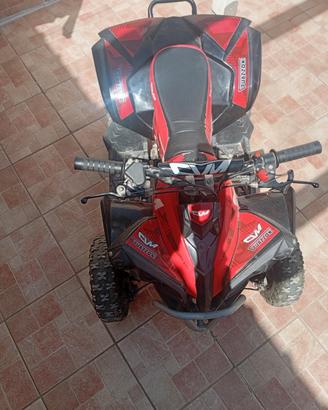 Mini Quad Guazzoni 50cc - Come Nuovo!
