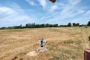terreno agricolo