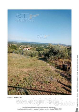 Terreno Agricolo Monterosi [A4311912]