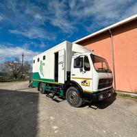 Van trasporto cavalli Mercedes